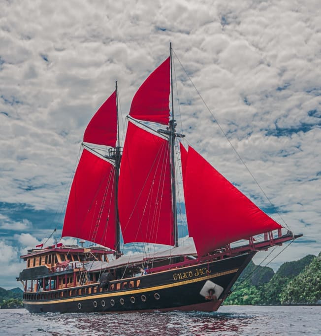 Calico Jack Specifications