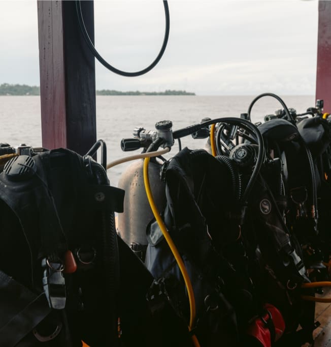 Calico Jack Toys and Equipment