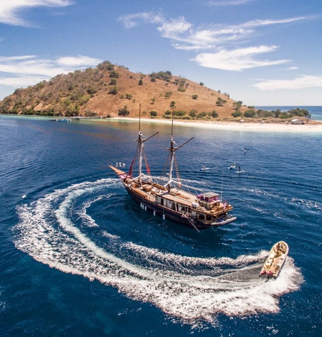 Carpe Diem Toys and Equipment