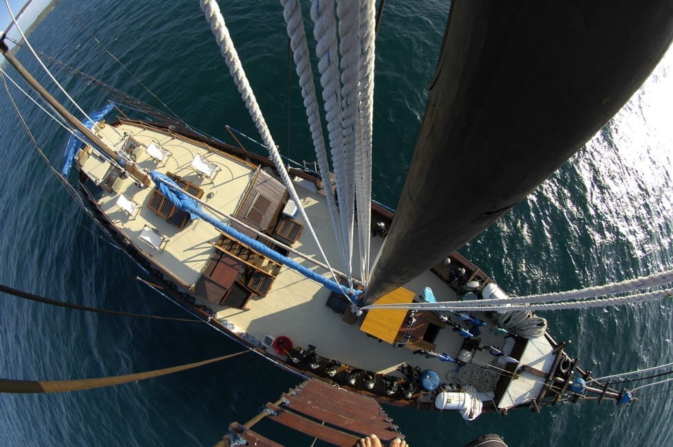 Shakti Navigation and Safety