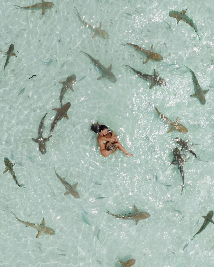 Aerial view of two travelers floating in the shallow, crystal-clear waters of Wayag, Raja Ampat, surrounded by a school of friendly reef sharks—an unforgettable wildlife encounter in Indonesia’s remote paradise.