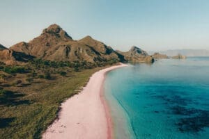 The famous Pink beach Komodo island seperates crystal clear water and the green fauna.