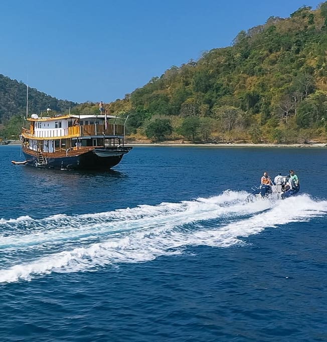 Rebel Toys and Equipment